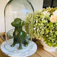 FOTOS| Así fue la decoración "perruna" del cumpleaños de la China Suárez