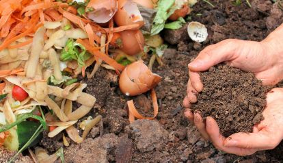 Cómo hacer un compost en casa 