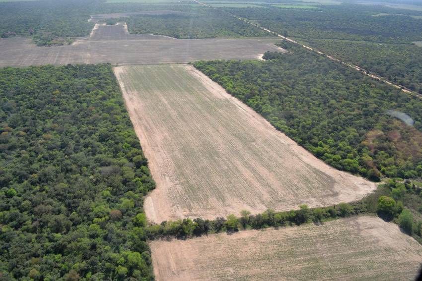 De Angeli propone tierras fiscales a la producción familiar