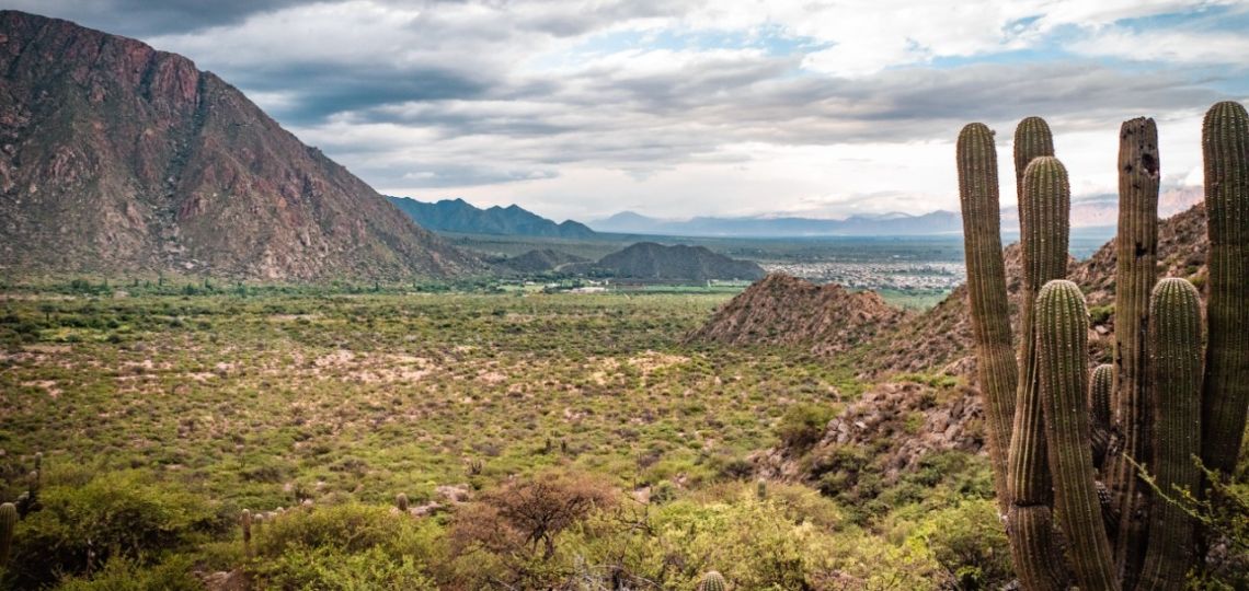 Cafayate: por qué se convirtió en uno de los destinos más buscados en esta pandemia