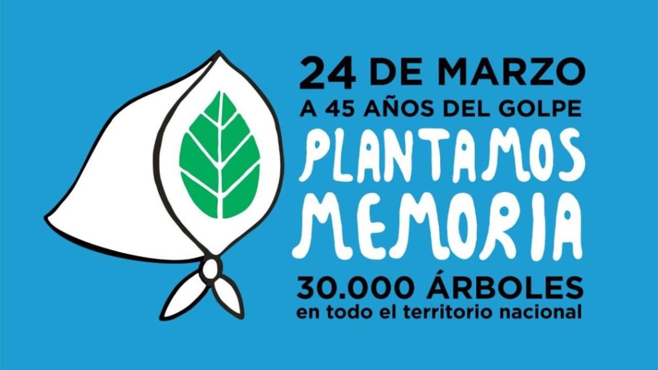 24 de marzo: convocan a plantar 30 mil árboles a 45 años del golpe de  Estado | Perfil