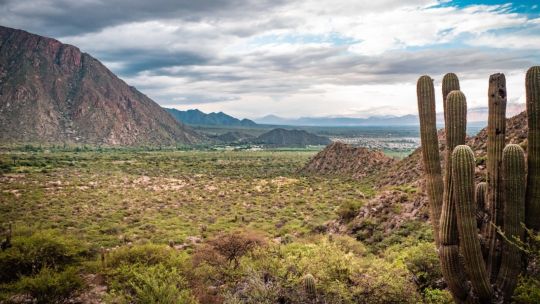 Cafayate: por qué se convirtió en uno de los destinos más buscados en esta pandemia
