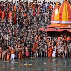Naga Sadhus (hombres santos hindúes) se reúnen antes de darse un baño sagrado en las aguas del río Ganges en el Shahi snan (gran baño) con motivo del festival Maha Shivratri durante el festival religioso Kumbh Mela en curso en Haridwar. | Foto:Prakash Singh / AFP