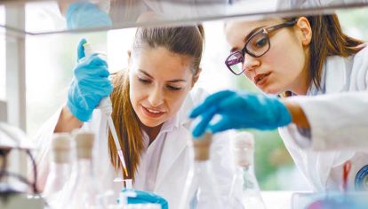 Informe. Solo el 30% de las investigadoras del mundo en las universidades son mujeres.