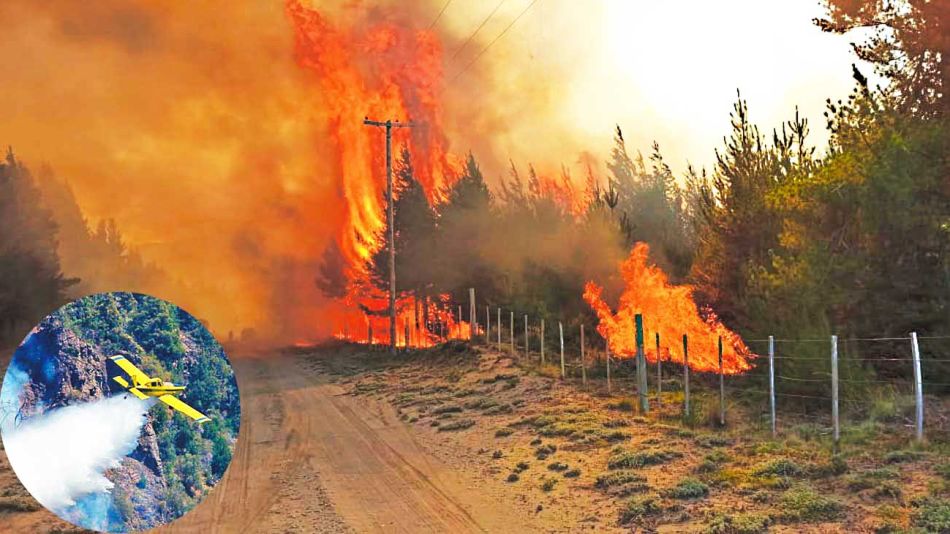 20210313_chubut_fuego_incendio_cedoc_g