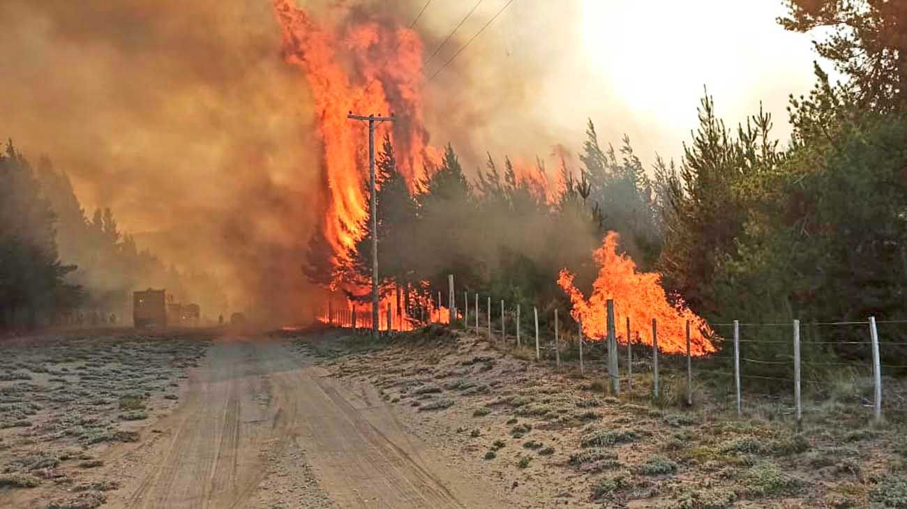 Unas 500 casas fueron destruidas por los incendios en Lago Puelo y El Hoyo  | Perfil