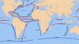 Los especialistas argentinos logró determinar cómo funcionan los mecanismos que forman la estructura anatómica de este fenómeno.