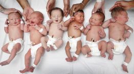 Bebé - Bebés - Demografía