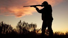 El proyecto propone penas más duras.