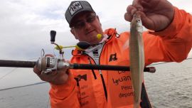 Su relevamiento se realizó en la Estancia Los Amigos, ubicado en el km. 171 de la ruta 188.