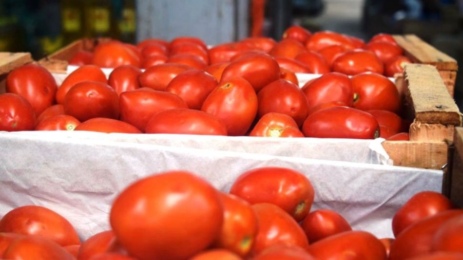 Tomates perita