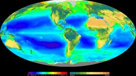 En el futuro, el sistema de la Tierra probablemente será un mundo de formas de vida anaeróbicas.