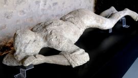 Impresiones en yeso muestran cómo murieron las víctimas de la erupción del Vesubio que destruyó Pompeya. Foto: Florian Sanktjohanser/dpa