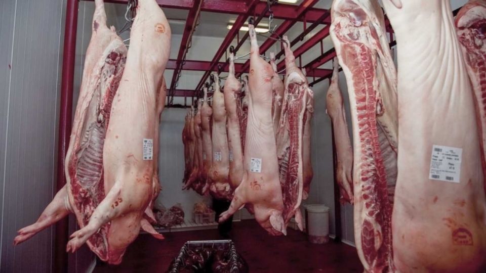 Carne de cerdo