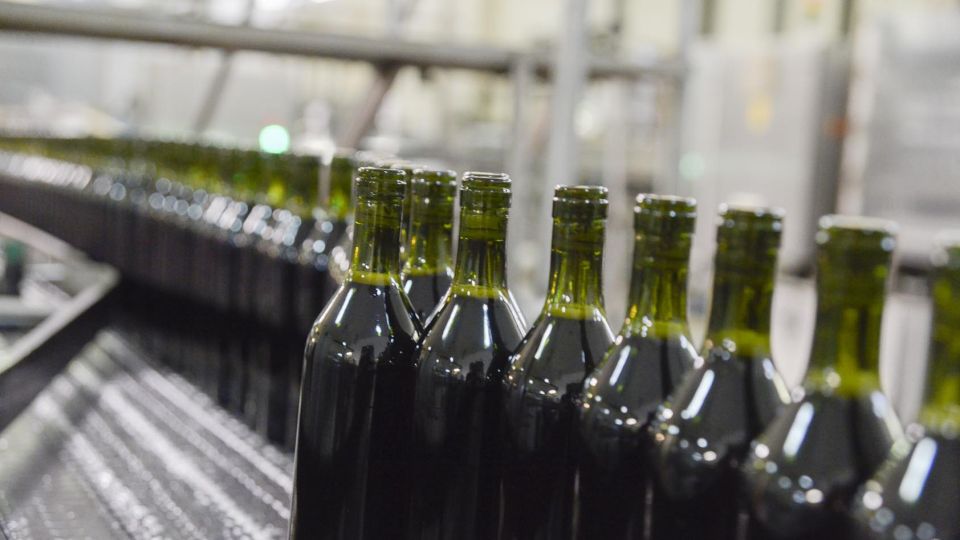 vinos 20210318