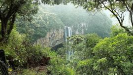 La fecha se celebra mundialmente desde el 21 de marzo de 2013.