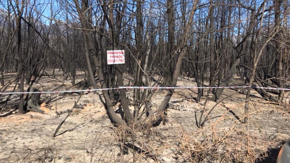 Incendio en El Hoyo