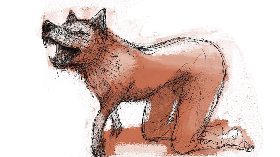 20210321_hombre_lobo_temes_g