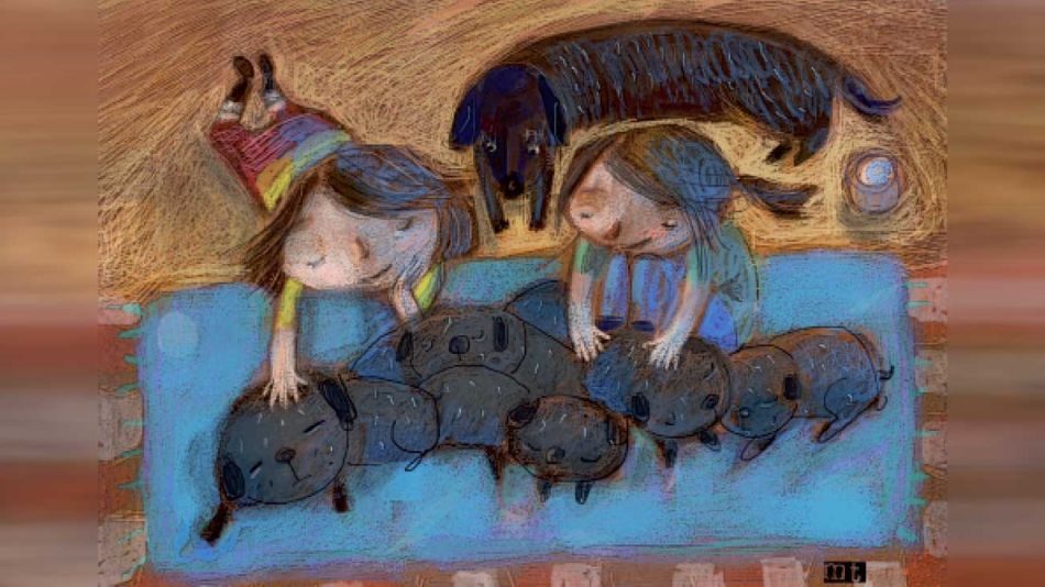 20210321_cachorros_martatoledo_g