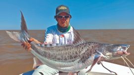De flote y con carnada viva se dieron muy buenos resultados. Uno de los patíes más grandes del día pesó casi 15 kilos.