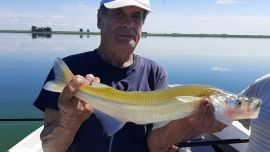 La temporada de pejerrey está a la vuelta de la esquina y ya tenemos el placer de adelantarte qué espejos prometen ser los mejores para empezar.