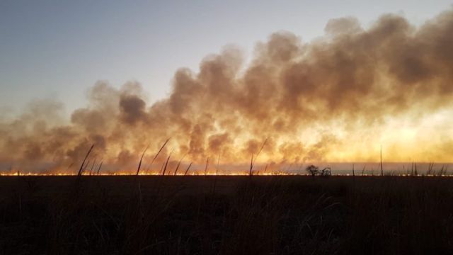 Incendios en la Argentina.