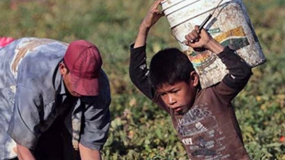 Trabajo rural infantil