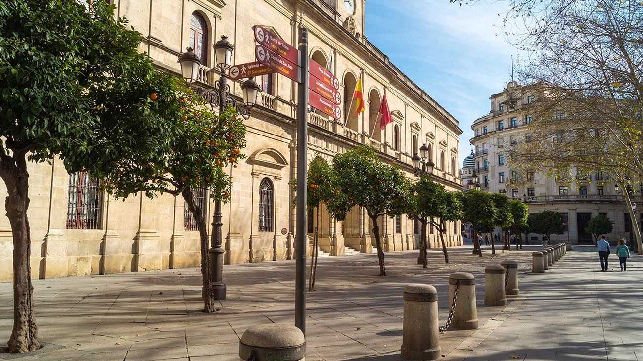  árboles de naranja en la vía pública y de energía que se fabrica a partir de los naranjos