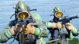 El APS dispara un dardo de acero de calibre 5,66 mm, de una longitud de 120 mm.