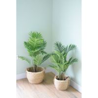 Bromelia Design