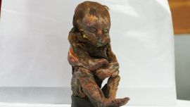 Los científicos norteamericanos constataron que Ata no era una extraterrestre.