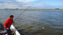 Con una pesca de calidad y cantidad en todo el ámbito, lo más rendidor es realizarla a flote con brazoladas muy cortas.