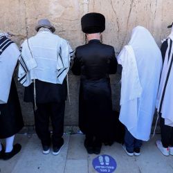 Los fieles judíos rezan frente al Muro Occidental durante la Bendición Sacerdotal en la festividad de la Pascua, en Jerusalén. | Foto:Emmanuel Dunand / AFP
