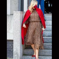 MAXIMA: REINA “ANIMAL PRINT”