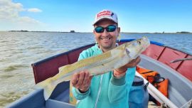 Varios ámbitos han levantado su nivel y se presentan como una excelente propuesta para los próximos días.