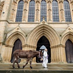 El servidor Xander Galloway-Gee (derecha) y el canónigo Michael Gisbourne conducen un burro frente a la catedral de Ripon en North Yorkshire. | Foto:Danny Lawson / PA Wire / DPA