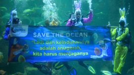 Los buzos con disfraces de conejo actúan dentro de un tanque en Seaworld en Yakarta, para celebrar la Pascua y promover la conservación del medio ambiente.