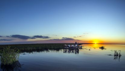Esteros del Iberá: 48 horas para descubrir este paraíso natural