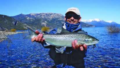 Salmón en el sur