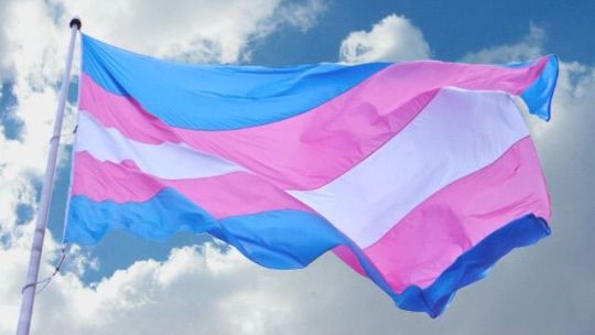 BANDERA TRANS DE MONICA HELMS