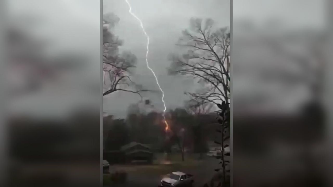 Video: el momento exacto en que un relámpago parte en dos un árbol | Perfil