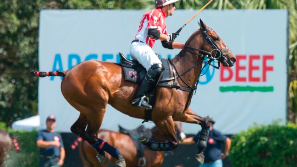 IPCVA en el US Open Polo Championship