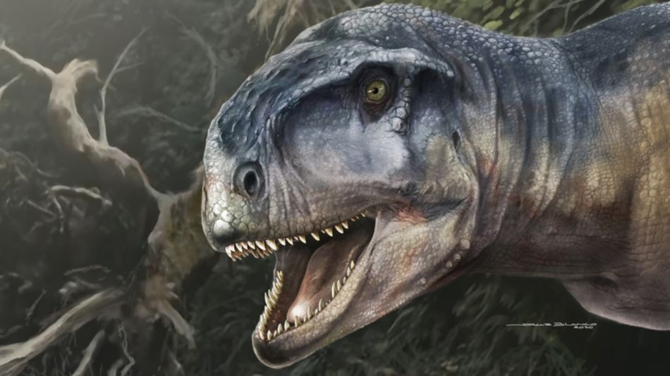 Llukalkan aliocranianus