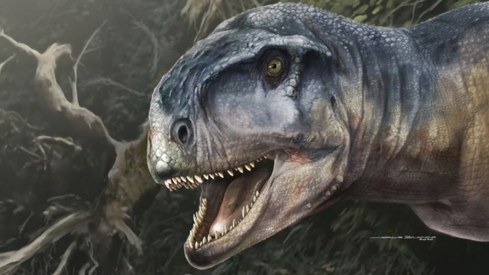 Llukalkan aliocranianus