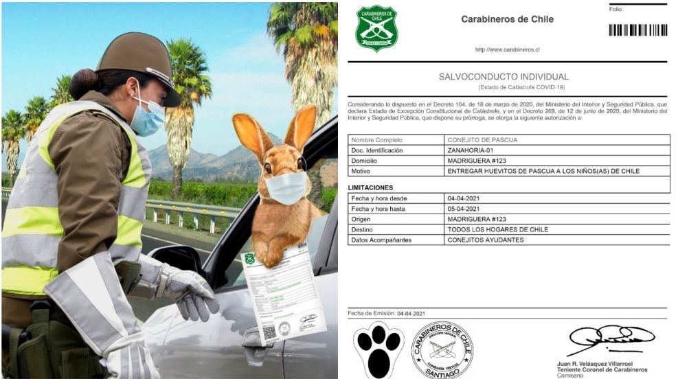 Afortunadamente, el Conejo recibió un permiso de circulación especial.