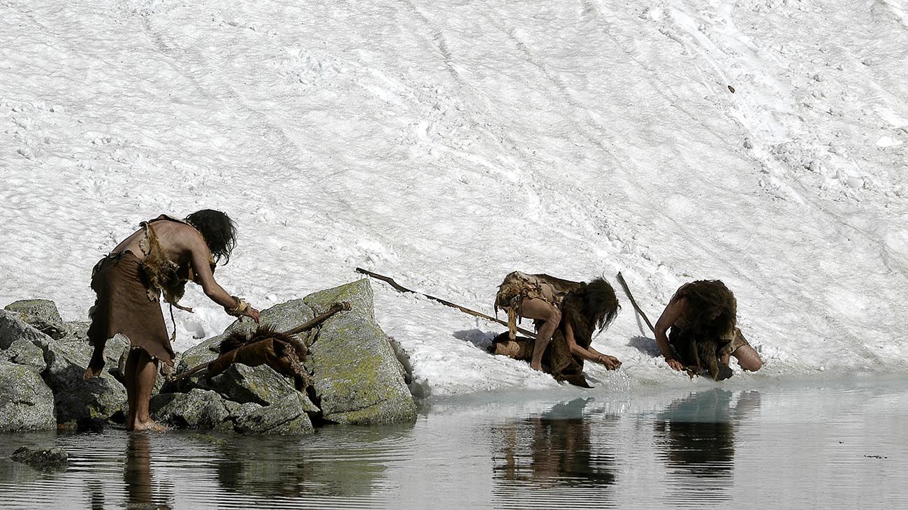 el hombre primitivo fue un superdepredador y comió sólo grandes animales durante 2 millones de años