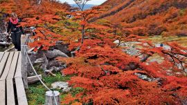 El sencillo trekking hasta la mitad del cerro Martial parece rodeado de jardines zen. Es una caminata ideal para quienes gusten de la fotografía.