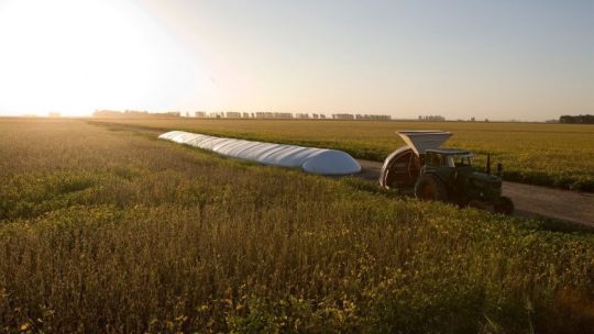 Agricultura