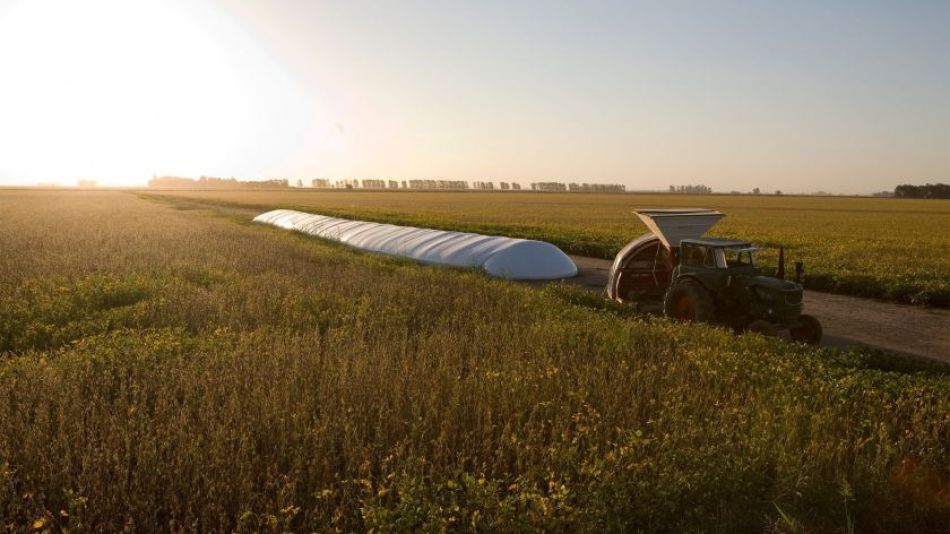 Agricultura