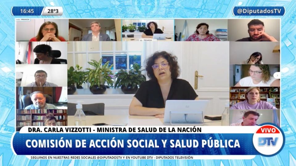 Carla Vizzotti ante la Comisión de Salud en Diputados